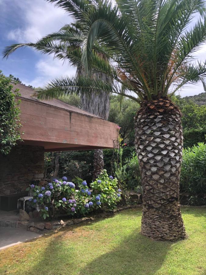 Villa 4 Porto Rotondo Eksteriør bilde