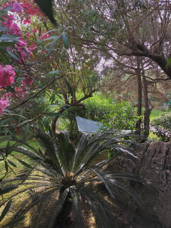 Villa 4 Porto Rotondo Eksteriør bilde